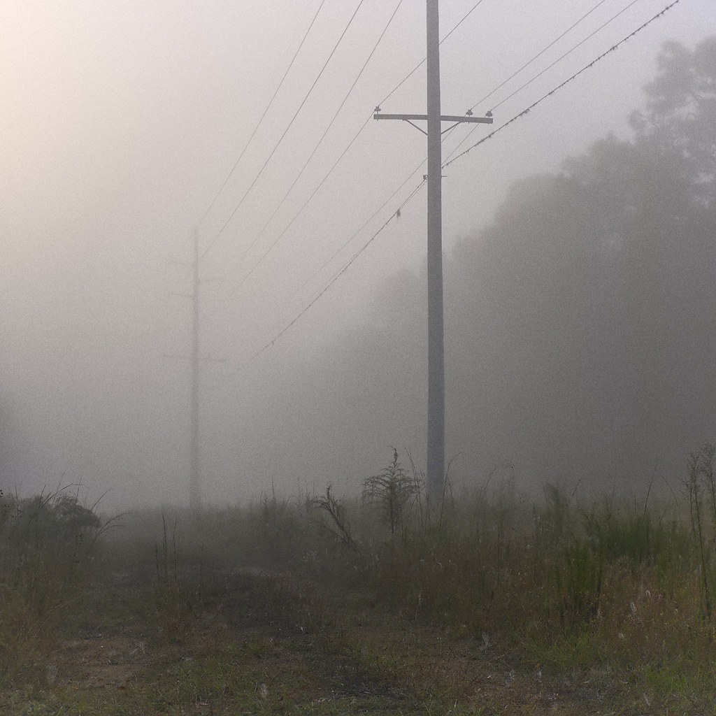 ..electricity. Withlacoochee State Forest, Citrus County, … Rich