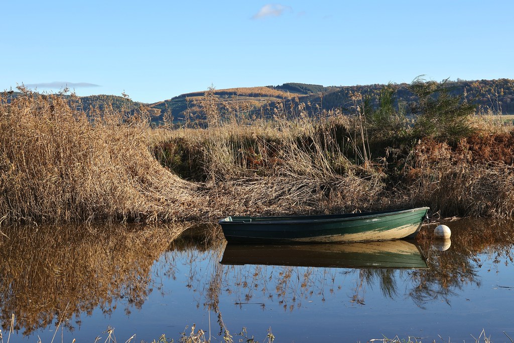 Rowing boat and reed beds Port Allen, Errol, Tayside Flickr