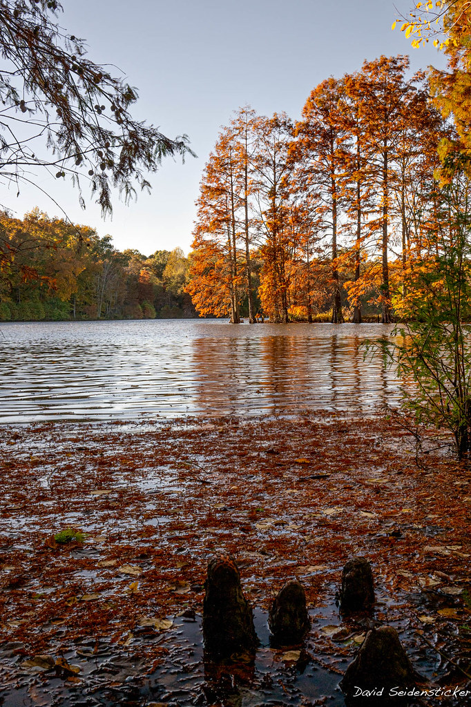 Lake Tecumseh Another view of this beautiful lake in South… Flickr