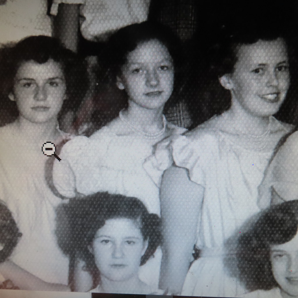 IMG_5208 Archie Flickr