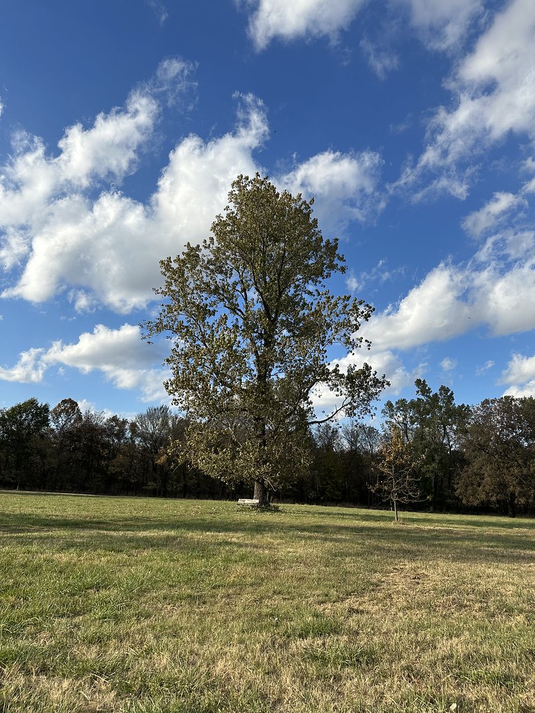 Untitled alex washburn Flickr