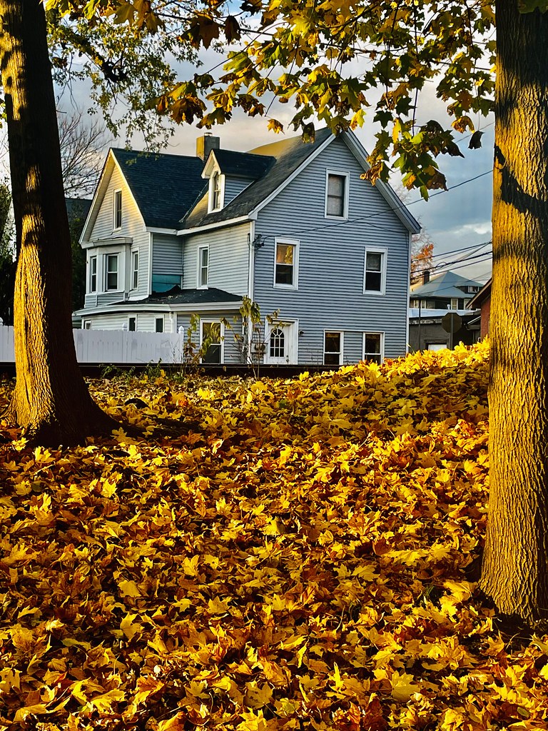 Leaves NY Beacon verplanck Flickr