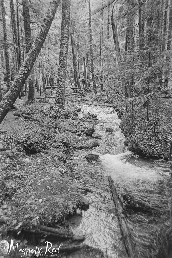 Zig Zag Creek Beautiful little creek and waterfall near Mt… Flickr