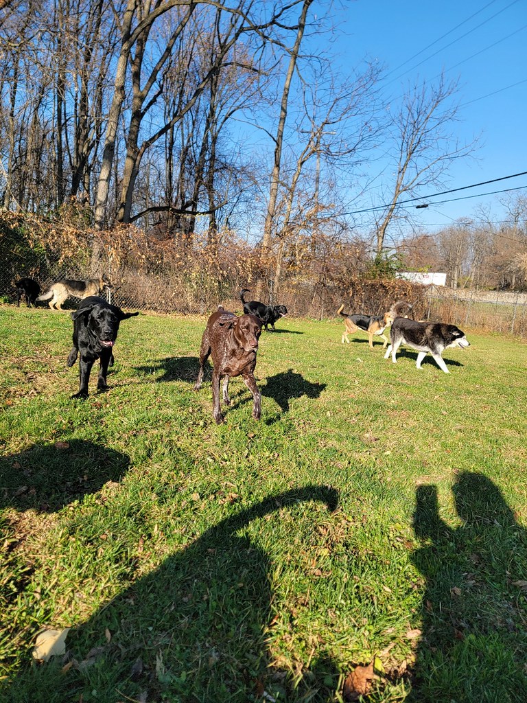 Untitled Greenlin West Flickr