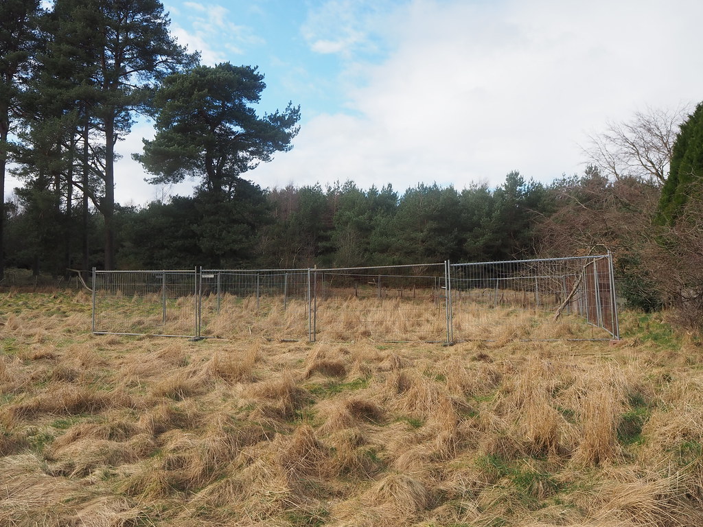 Trying to keep deer away from young apple trees Photos in … Flickr