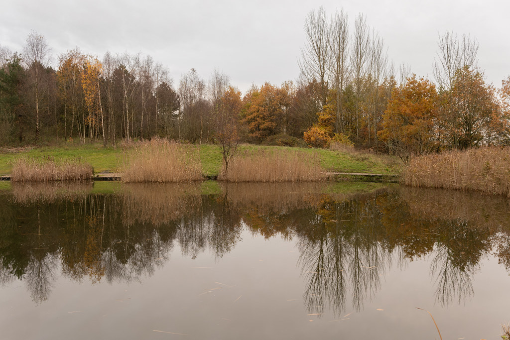 Clock Face Country Park 161123 Clock Face Country Park, St… Flickr