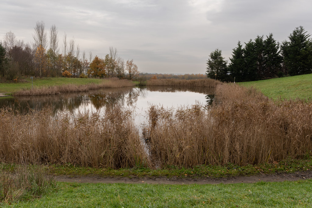 Clock Face Country Park 161123 Flickr
