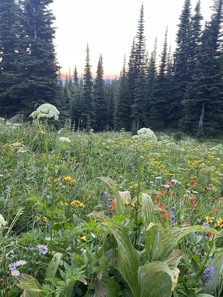 Bear Creek WTA 2022 sadie0925 Flickr