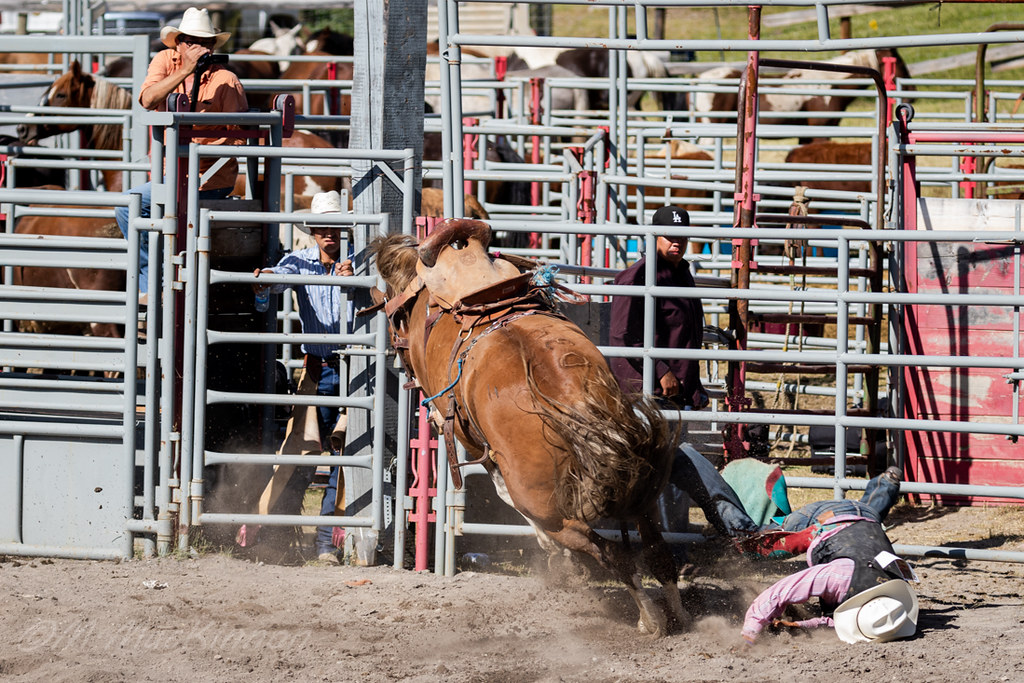 Tsuu T'ina Rodeo 2019 July 26 tallhuskymike Flickr