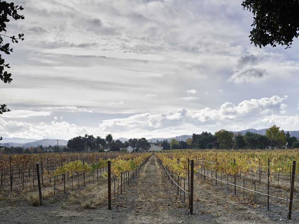 20231117_Livermore_0018_Panorama Livermore, Fall Colors. C… Flickr