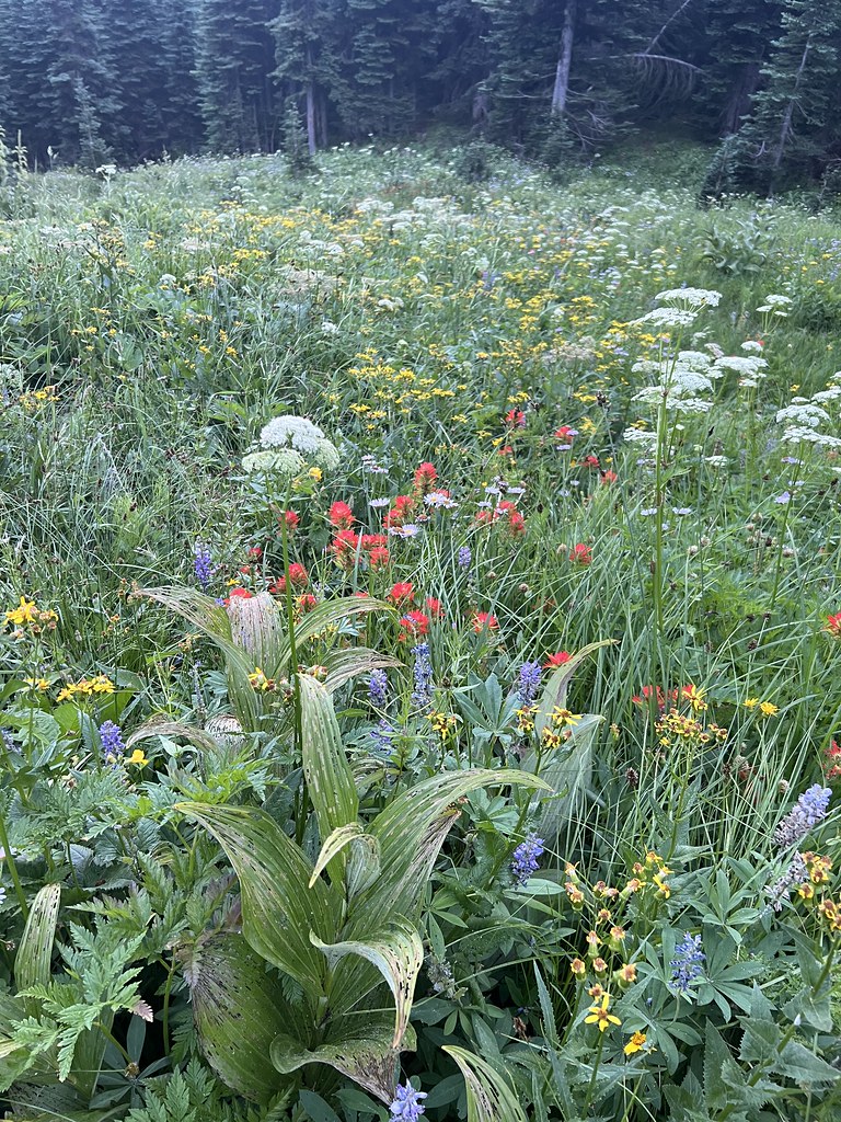 Bear Creek WTA 2022 sadie0925 Flickr