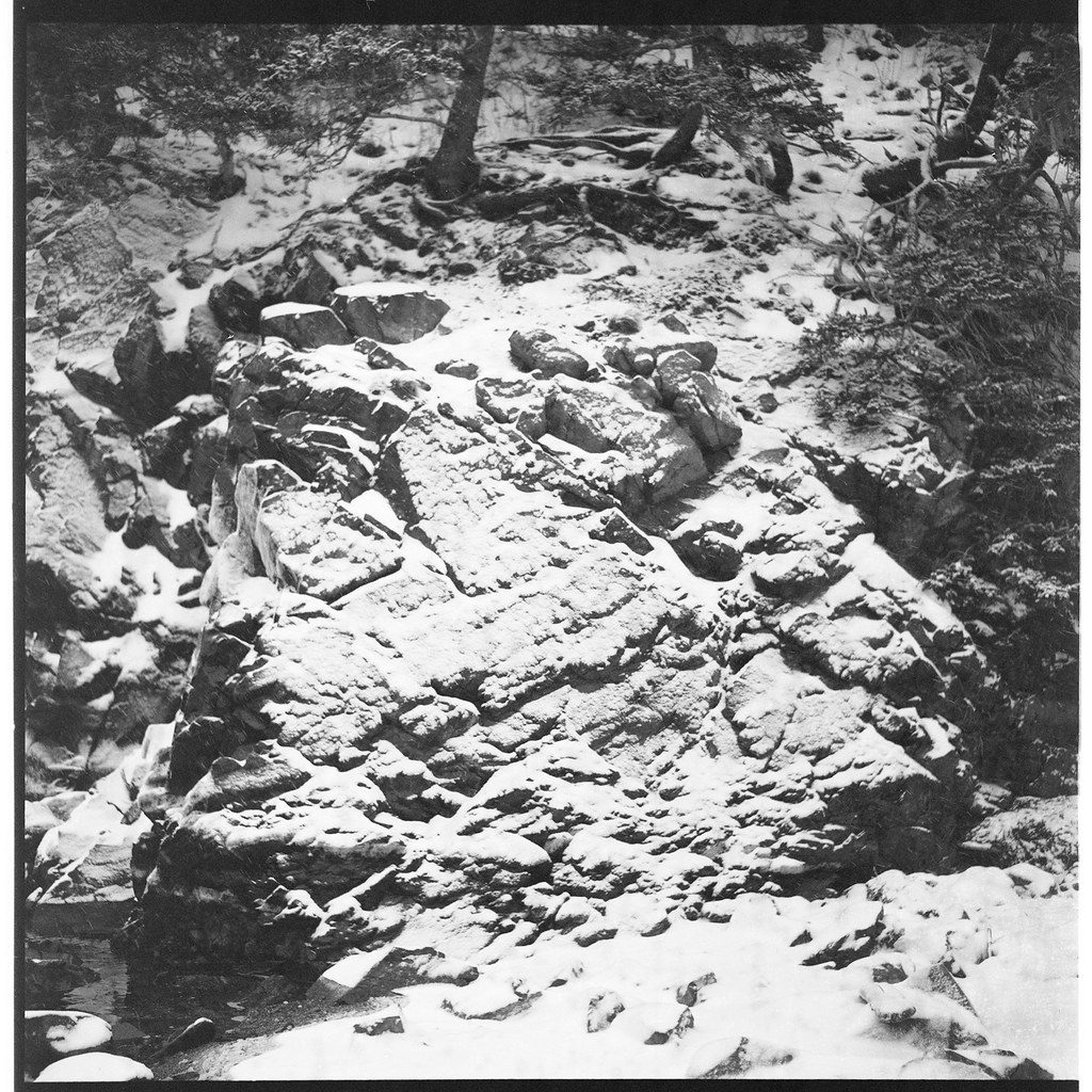 img202112118a Rocks, trees, shore at Owls Head Light state… Flickr