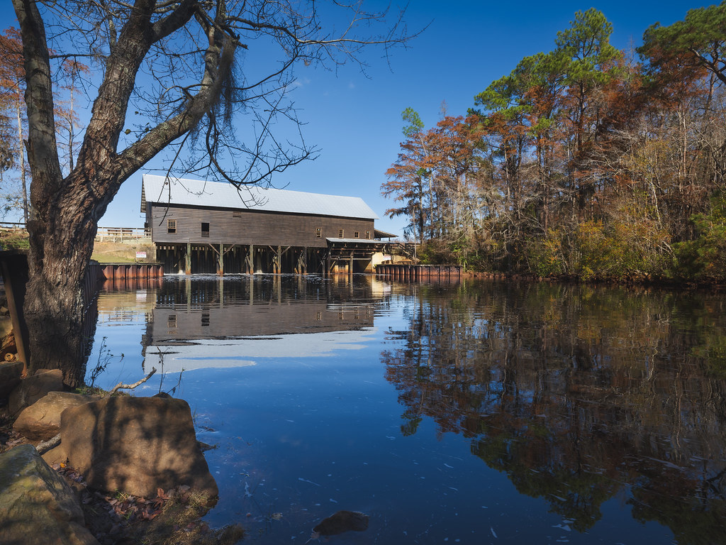Millhouse 2023 Millhouse at L. Smith State Park Stephen Brown Flickr
