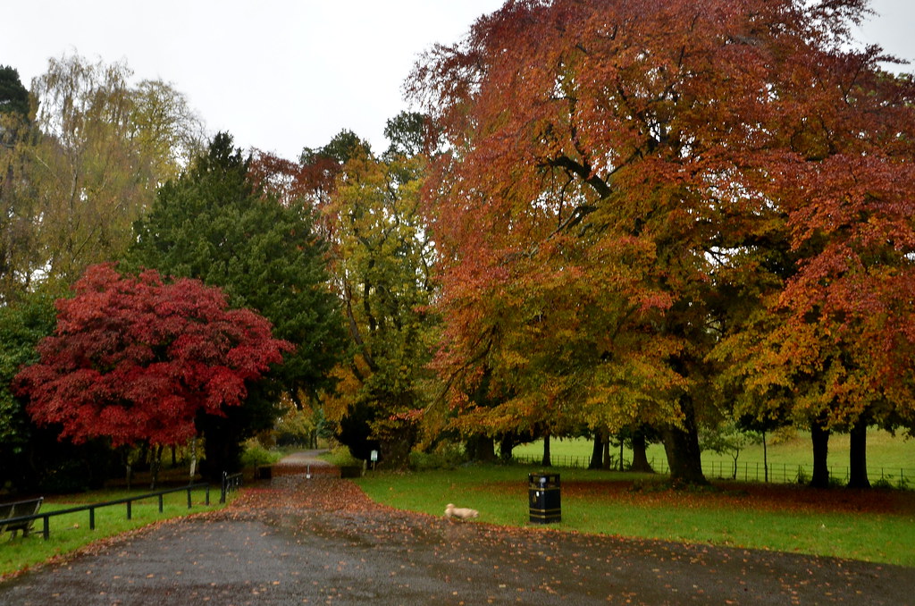 Autumn Greenhall Park Blantyre James Brown Flickr
