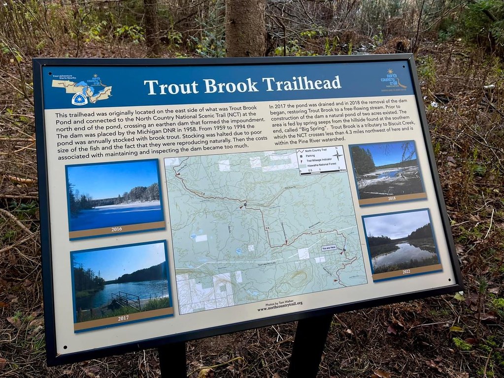 NCT Trout Brook Pond Nov 11, 2023 Sault Naturalists Flickr