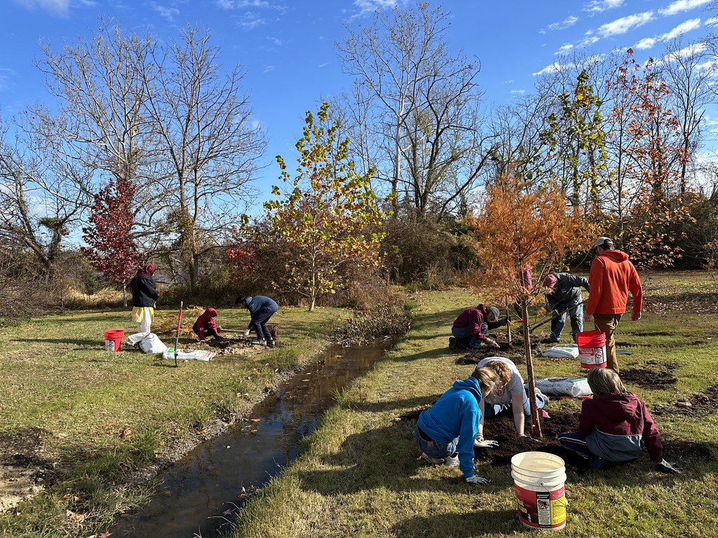 Fall 2023 Denton Tree Planting Crouse and Wheeler Park Flickr
