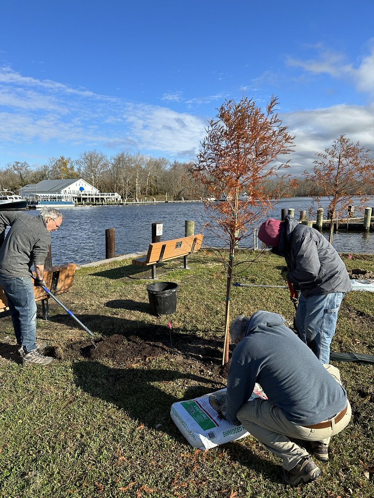 Fall 2023 Denton Tree Planting Crouse and Wheeler Park Flickr