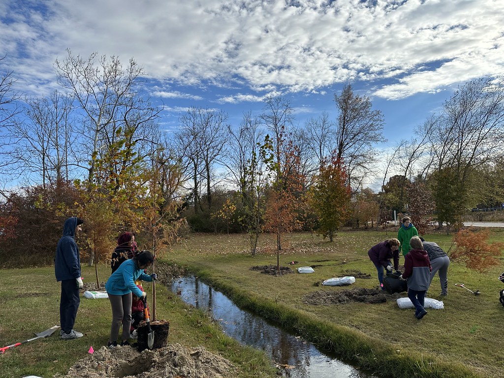 Fall 2023 Denton Tree Planting Crouse and Wheeler Park Flickr