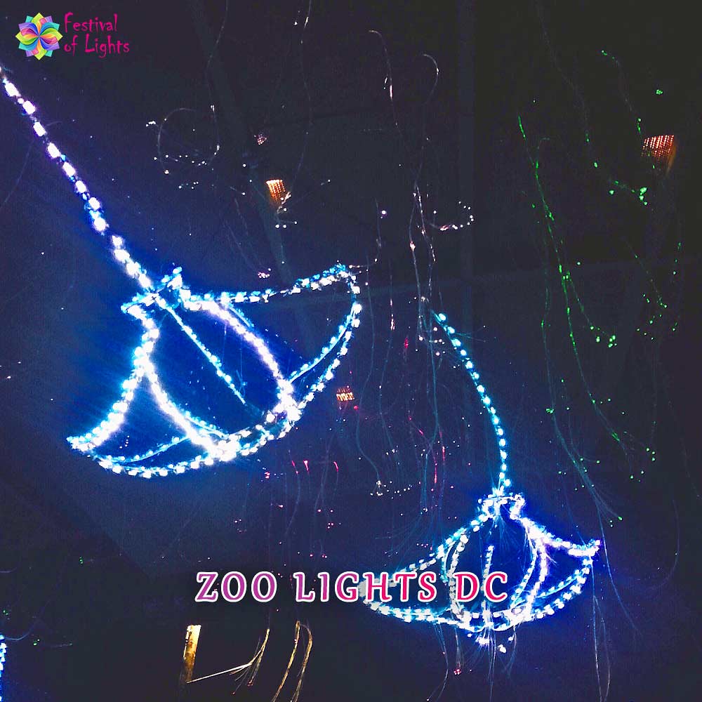 Zoo Lights DC Zoo Lights DC Plan Your Visit >> The zoo lig… Flickr