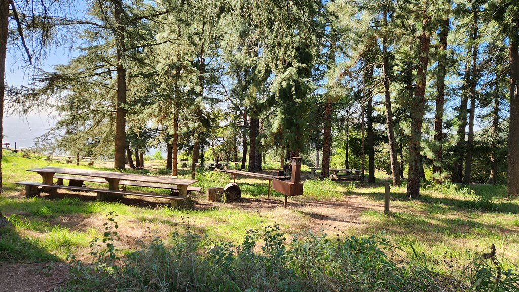 20231120_130503_Fuji Camp at Henninger Flats Nick Shah Flickr