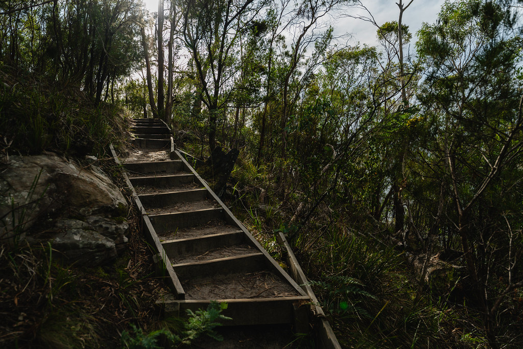 Coningham Clifftop Track Coningham Clifftop Track You ca… Flickr