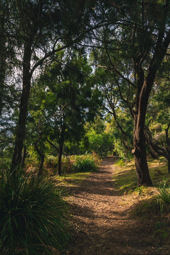 Coningham Clifftop Track Coningham Clifftop Track You ca… Flickr