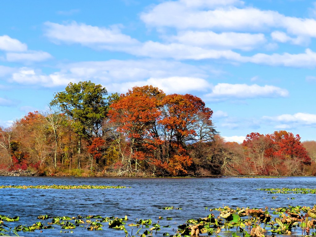 Massapequa Lake, Massapequa, New York. Canon SX740 HS. Nov… Flickr