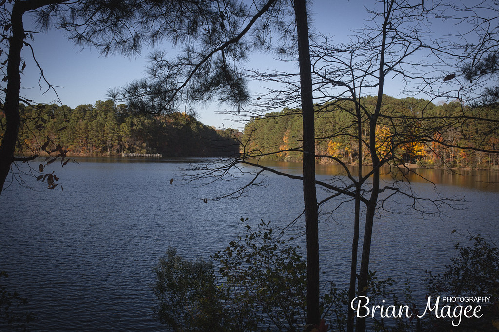 _N8A1518 2023 Apex Community Park Apex North Carolina Nove… Flickr