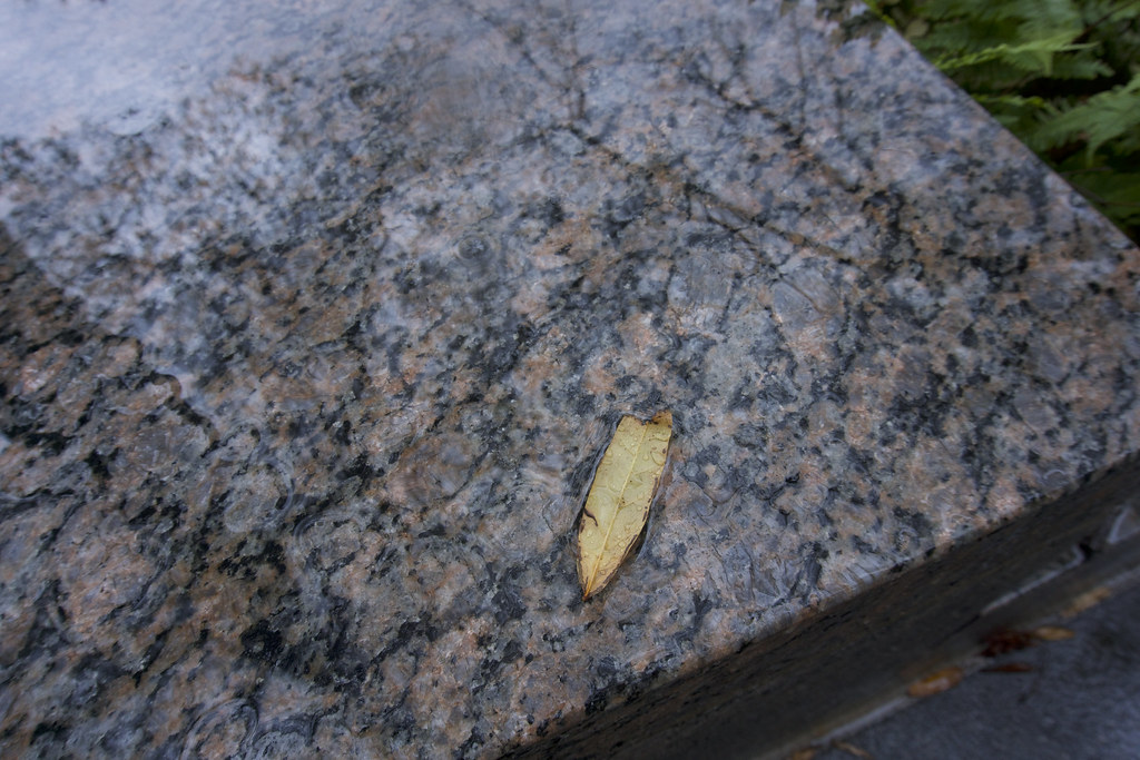 DSC04047 Juanita QuinteroAviles Flickr