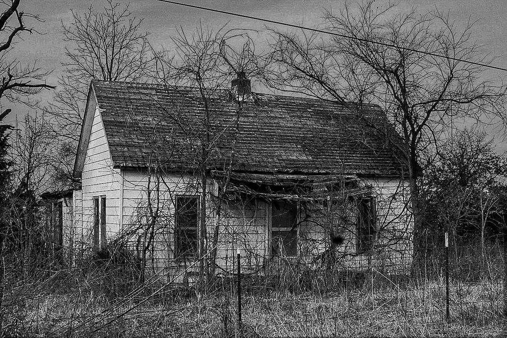 _2021_01_21_ Brandon Dampier Flickr