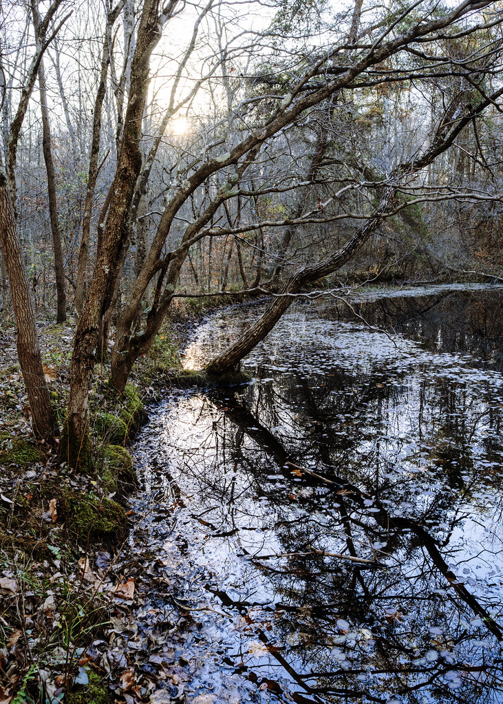 00 DSCF0946 Boch Hollow State Nature Preserve, Logan, Ohio… jonohio
