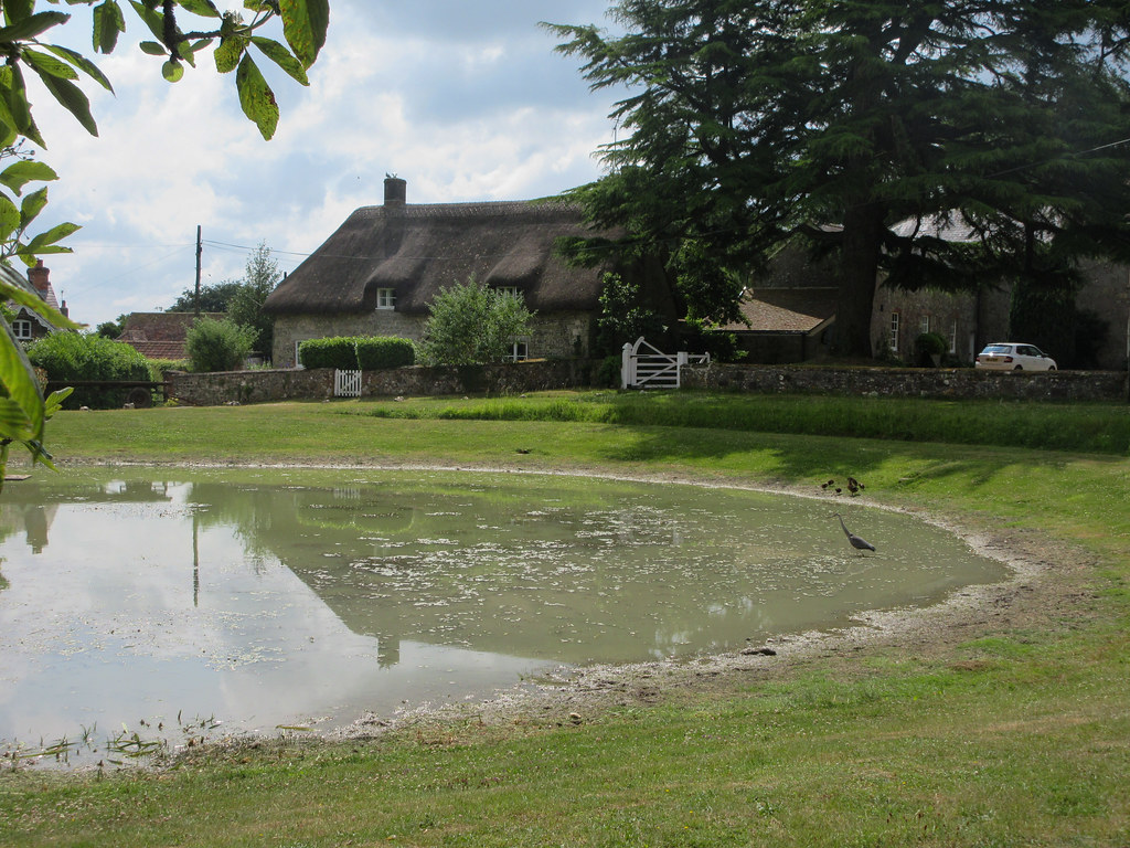 Ashmore walk Ashmore pond with heron and ducks devonandrew Flickr