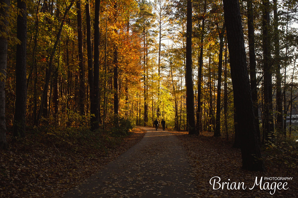 _N8A1612 2023 Apex Community Park Apex North Carolina Nove… Flickr