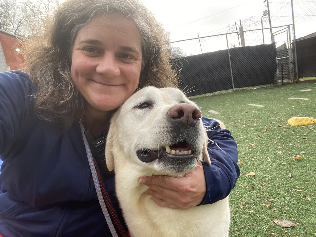 Untitled Greenlin Harrisburg Flickr