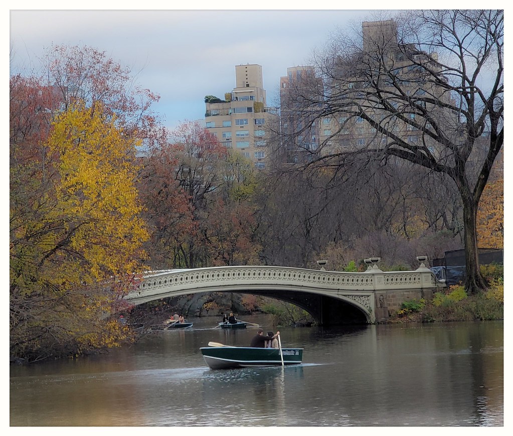 20231123_123644 Bruce Naylor Flickr