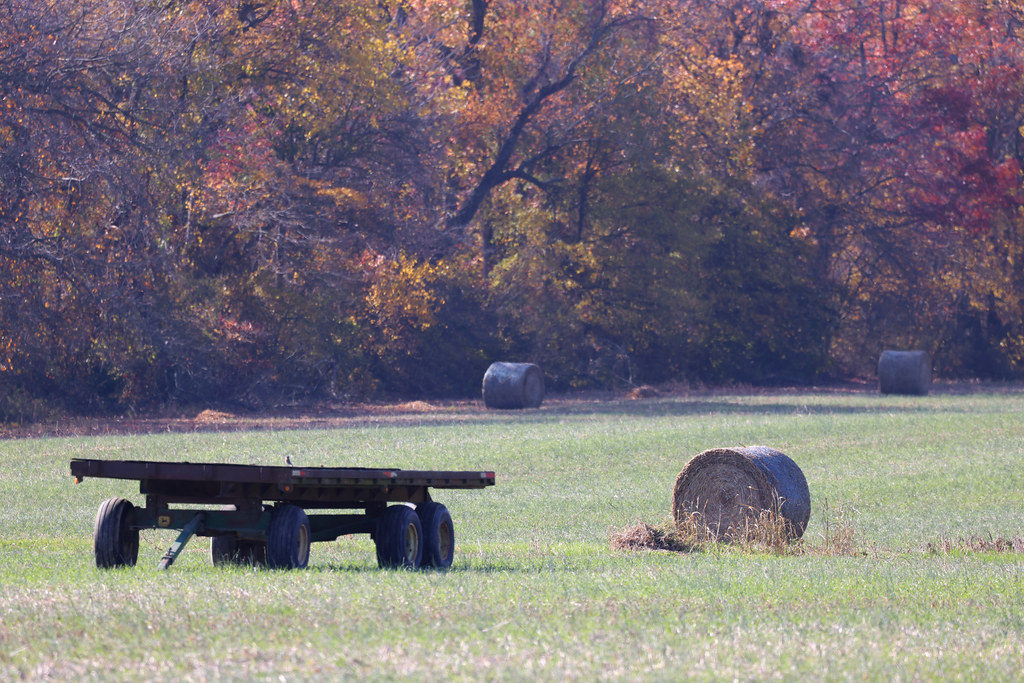 KENT COUNTY Farm land throughout Kent County, Maryland. nflravens Flickr