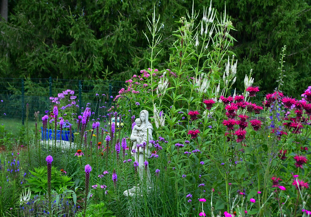 DSC_0137z5 John Blair Flickr