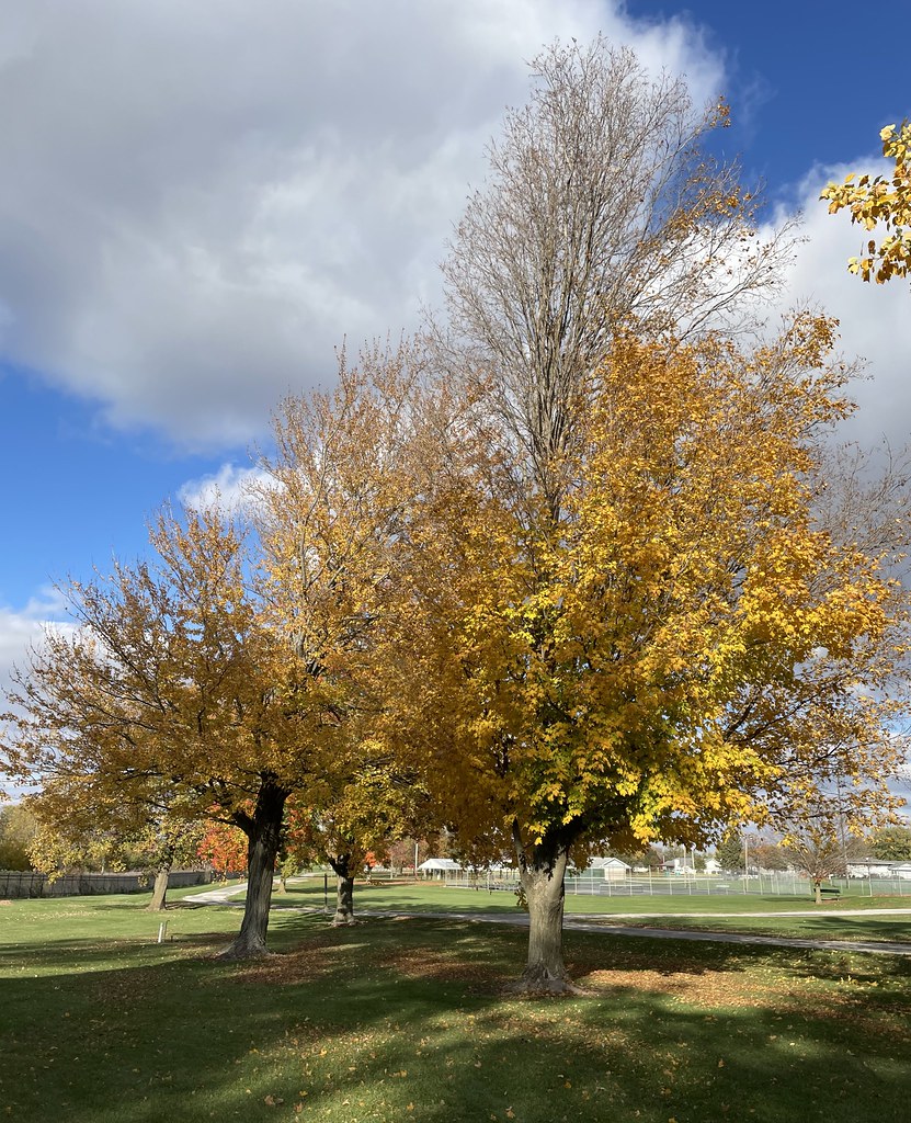 Keller Park (Lexington, Illinois) Lexington, Illinois is a… Flickr