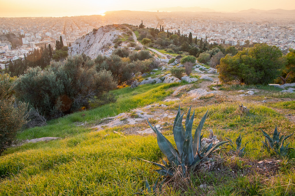 Untitled jacob weaver Flickr