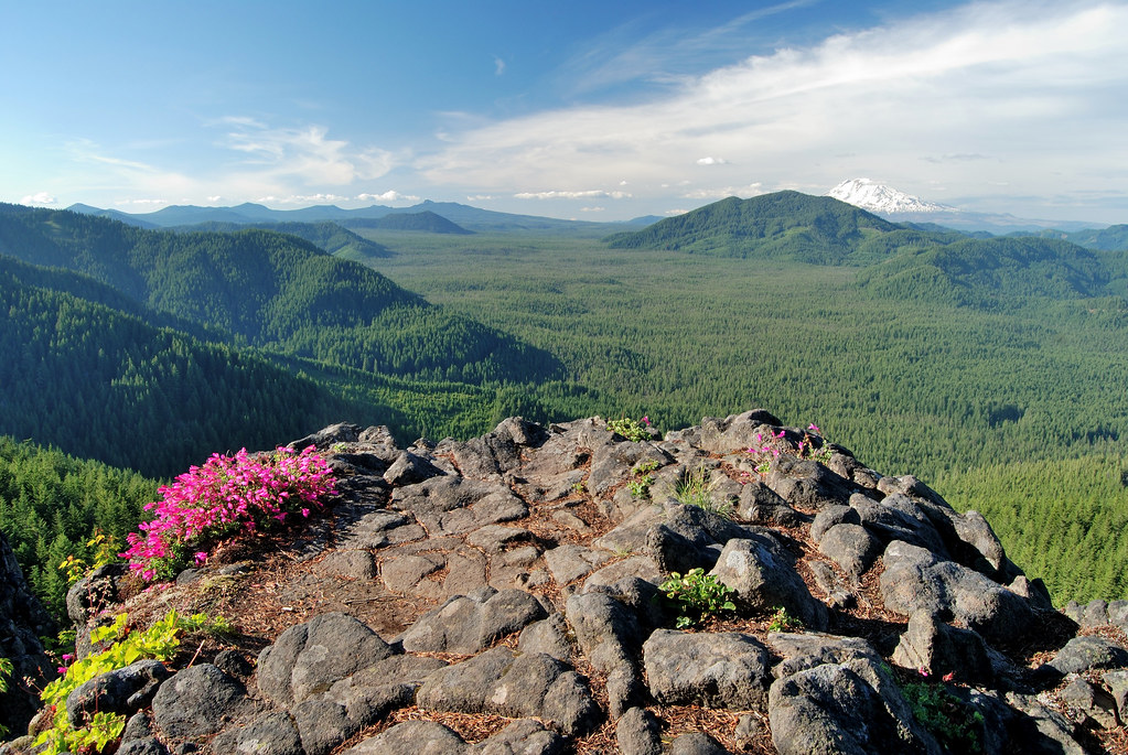 Big Lava Bed Gifford Pinchot National Forest Washington St… Flickr