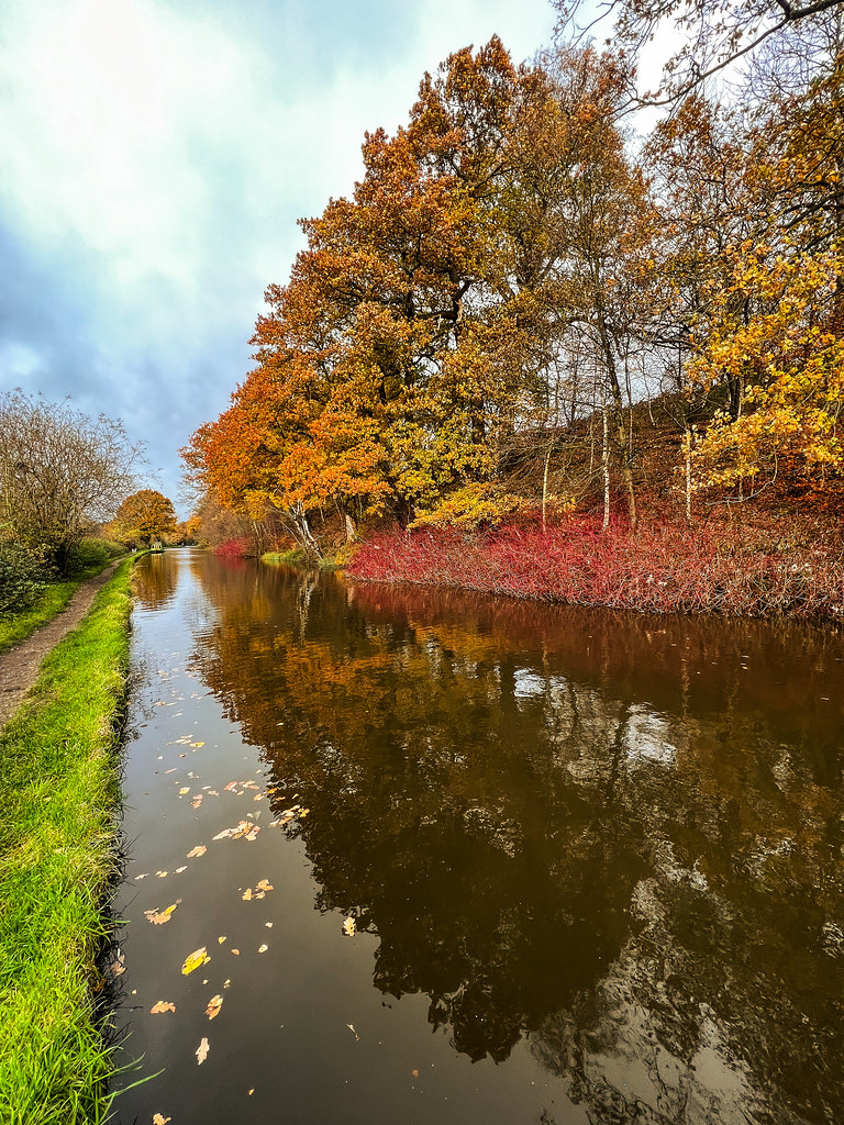 Wolseley Bridge Wolseley Bridge cattan2011 Flickr