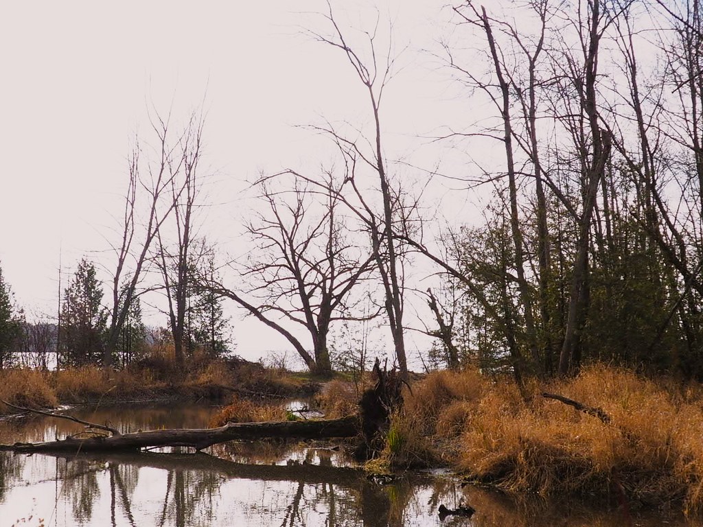 Mara Park russ wallace Flickr