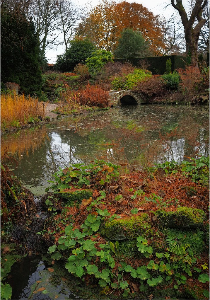 Autumnal Ness Botanical Gardens paul ashton Flickr