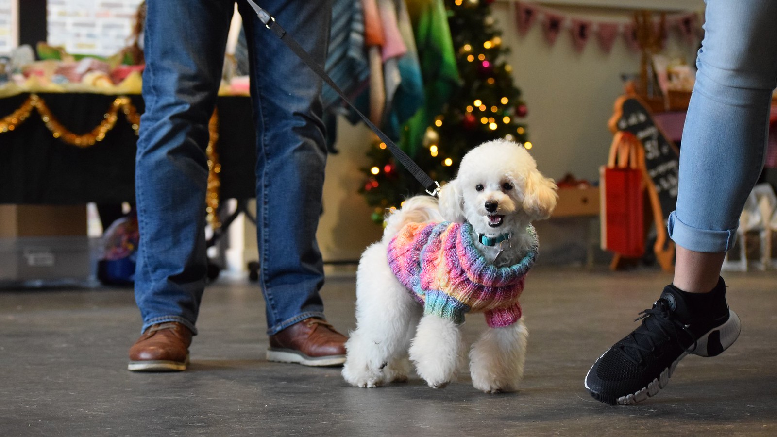 Dogs Trust Basildon Christmas Fair 2023 Flickr