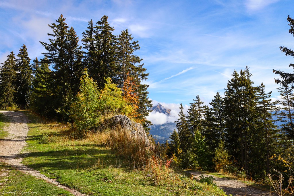 Autumn, before Winter Vincent Wo Flickr