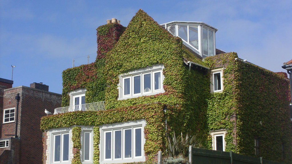 Greenhill, Weymouth Bournemouth Andy Flickr