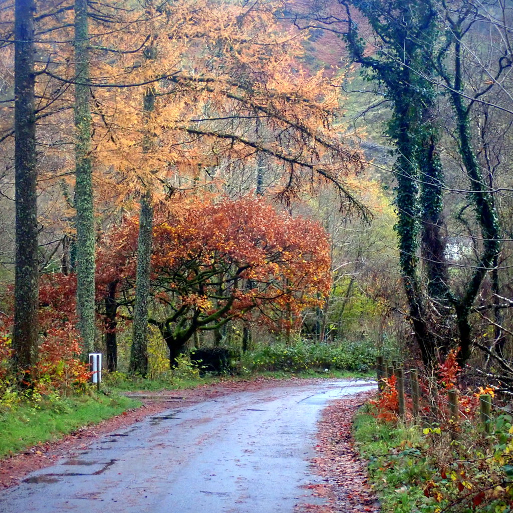 Ennerdale, lane to the lake Autumn colours Andrew Hill Flickr