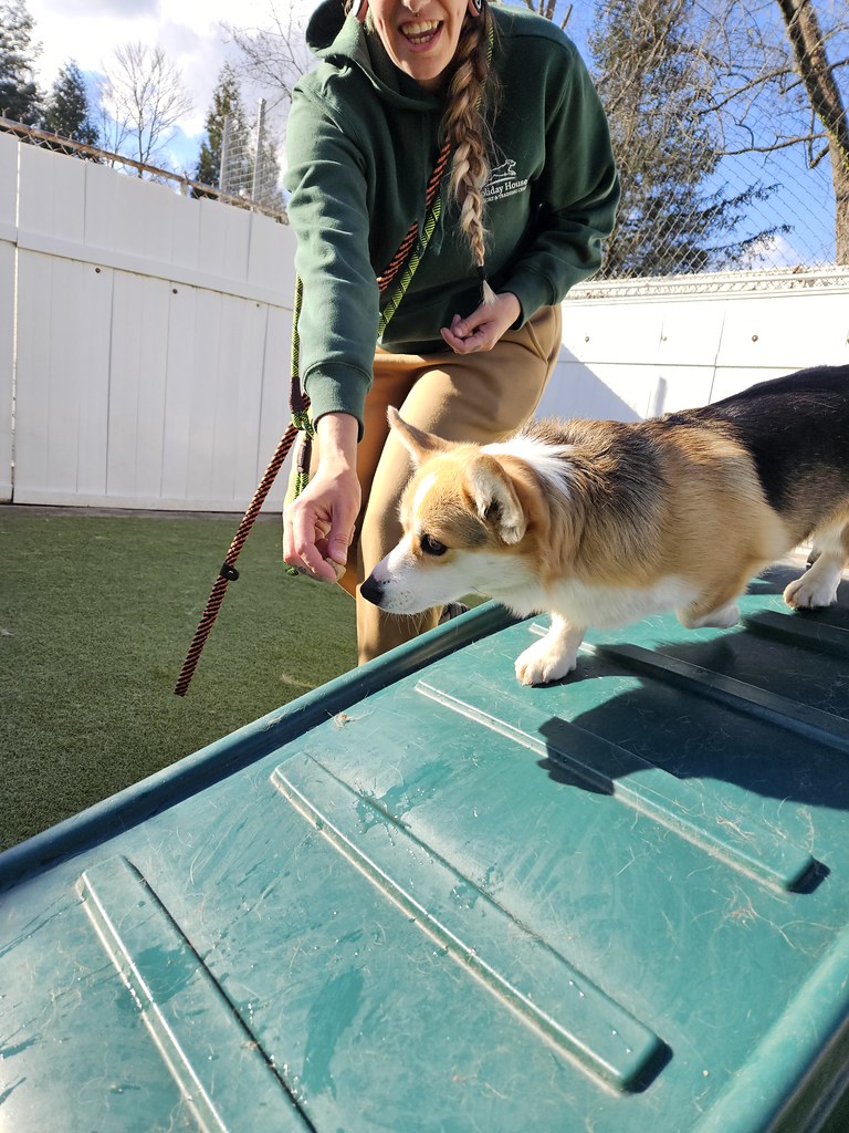 20231128_120419 Holiday House Pet Resort and Training Center Flickr