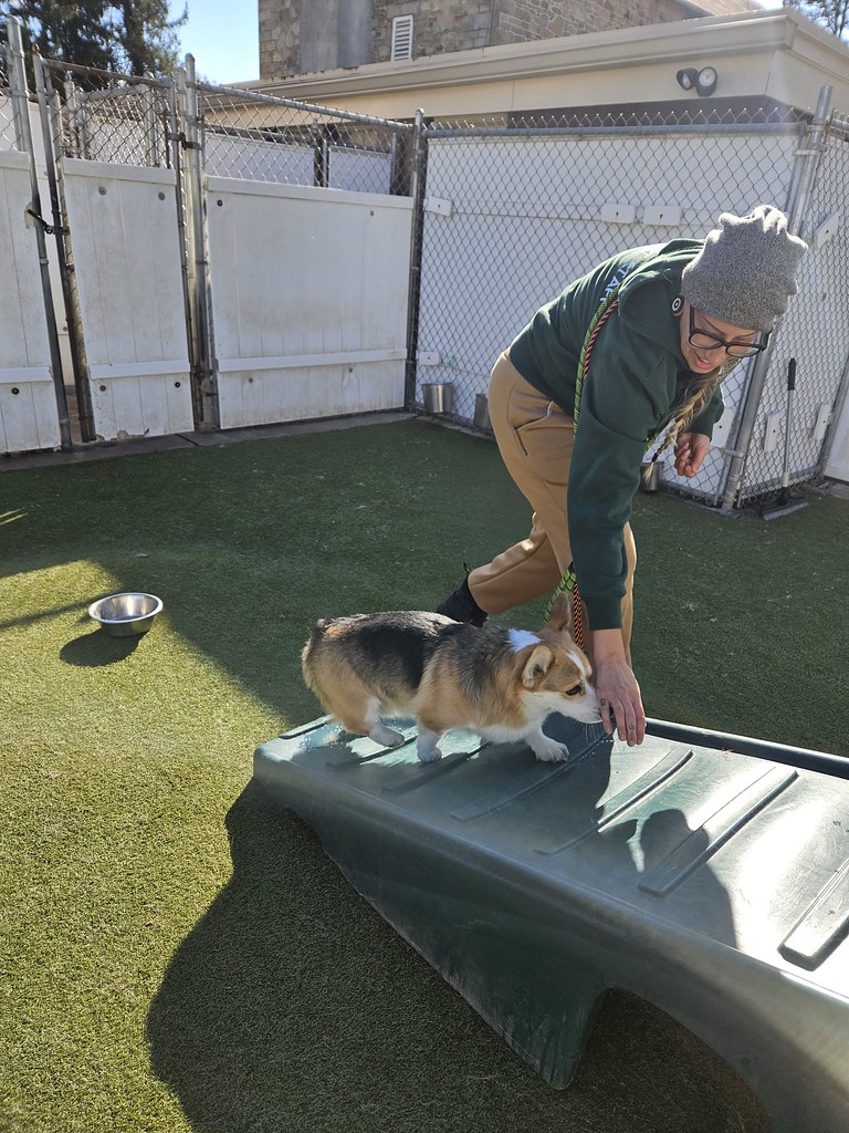 20231128_120411 Holiday House Pet Resort and Training Center Flickr