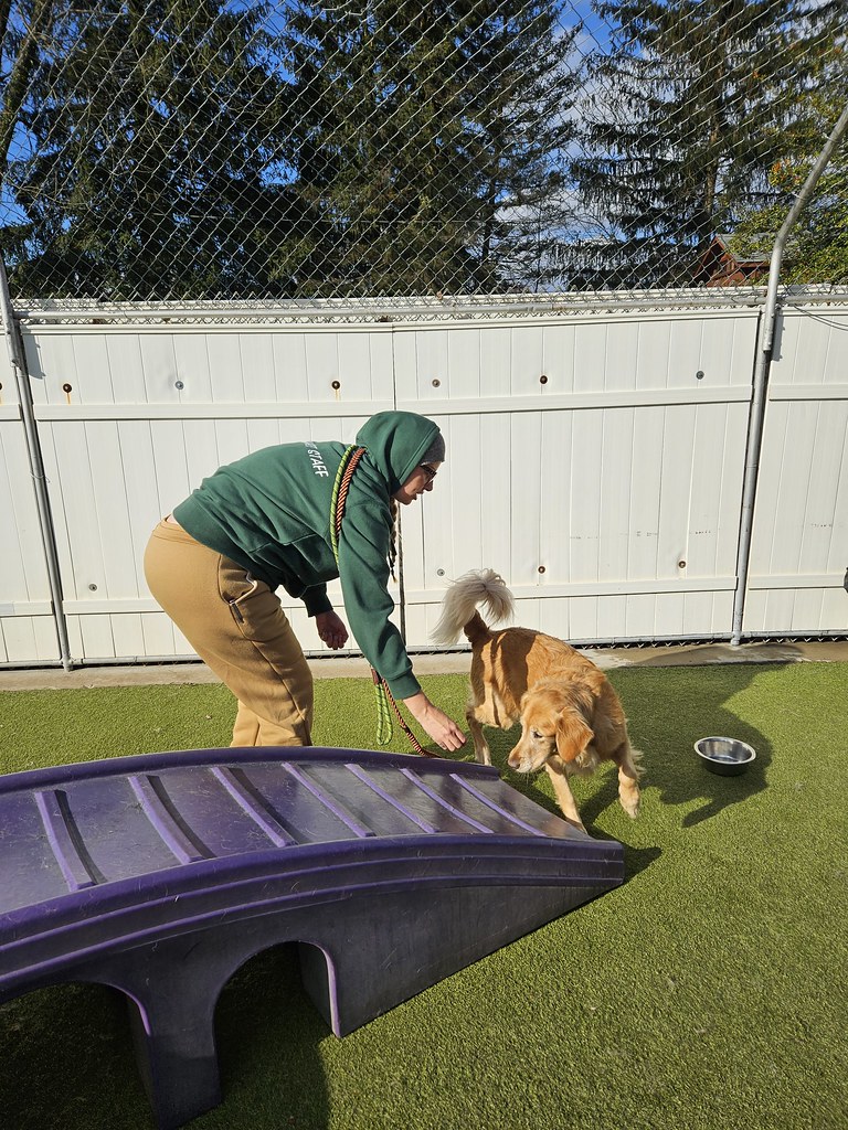 20231128_115127 Holiday House Pet Resort and Training Center Flickr